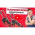 Газонокосарка Vitals Master EZP-323jb