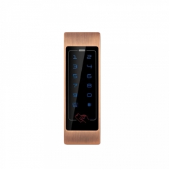 Контролер доступу GV-CEM-011 Outdoor (Bronze)