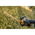 Кущоріз акумуляторний DeWALT DCMHT564P1