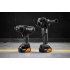 Набір з двох інструментів акумуляторних безщіткових McLaren F1 TEAM SPECIAL EDITION DeWALT DCK2225MP2T